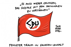 Irritierende Aussage in Sachsen-Anhalt: CDU-Politiker bringen Koalition mit AfD ins Spiel