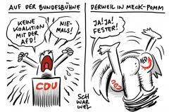 Trotz "Nein" von CDU-General Ziemiak: CDU Penzlin bildet in Meck-Pomm mit AfD stärkste Ratsfraktion