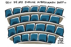 Namentliche Abstimmungen im Bundestag: AfD-Abgeordnete fehlen am häufigsten