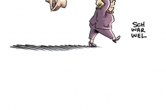 schwarwel karikatur cartoon buch die demokratie den demokraten