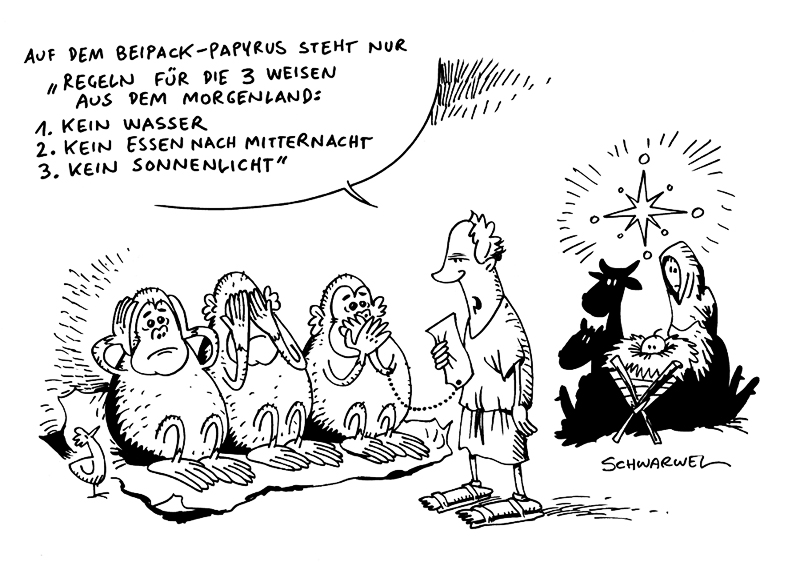 Karikaturen Dezember 12 Schwarwel De