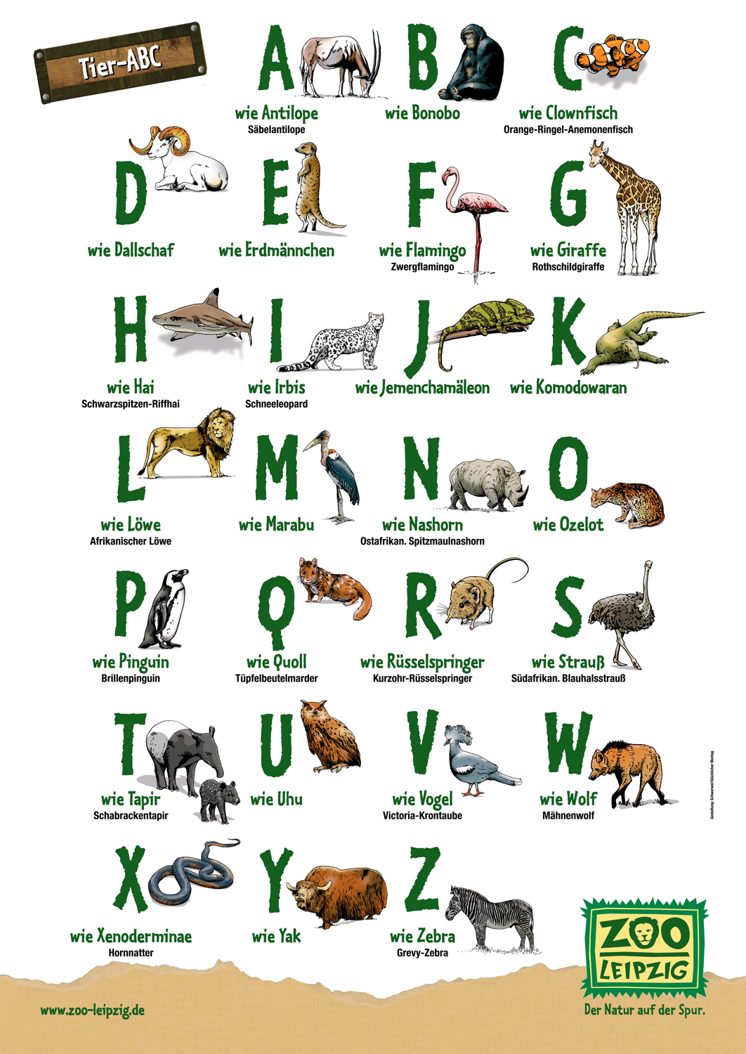 zoo-abc-poster598x845.fh11
