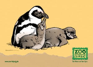 zoo-pingu-pk152x109.fh11