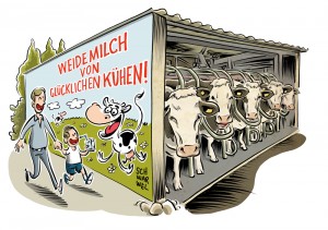 Tierhaltung in Deutschland: Bauministerin gegen Massenställe
