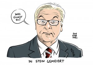 Kandidat für Bundespräsidentenamt: Steinmeier-Kür erweckt Meckern in der Union