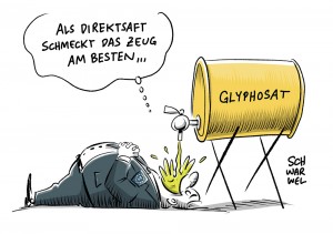 EU verlängert Zulassung: Ja zu Glyphosat sorgt für Krach in Berlin