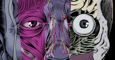 GRAPHIC NOVEL „Gevatter – Die fünf Phasen“