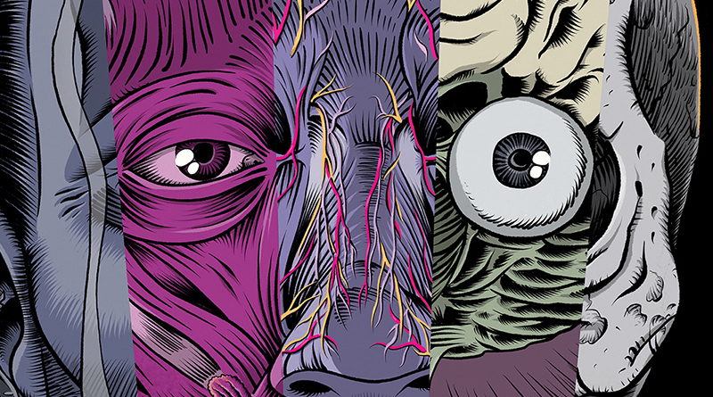 GRAPHIC NOVEL „Gevatter – Die fünf Phasen“