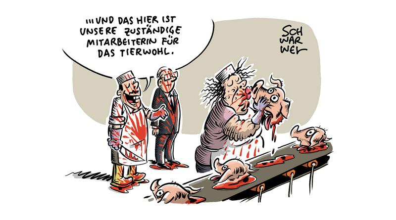 KARIKATUREN 2019