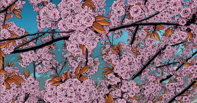 ILLUSTRATIONEN: #nichtgesellschaftsfähig