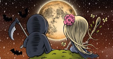 BUCH „Herr Tod und Frau Leben – Was gibts zu tun beim Todesfall?“