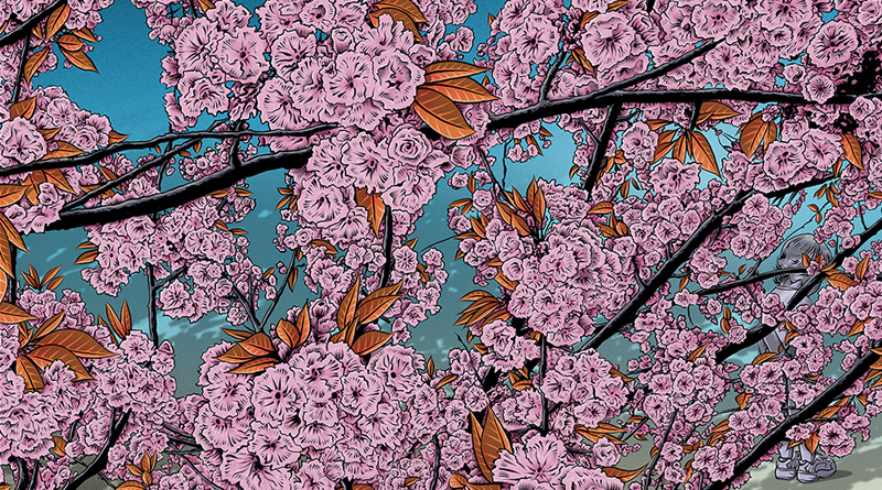 BUCH „Nicht gesellschaftsfähig – Alltag mit psychischen Belastungen”